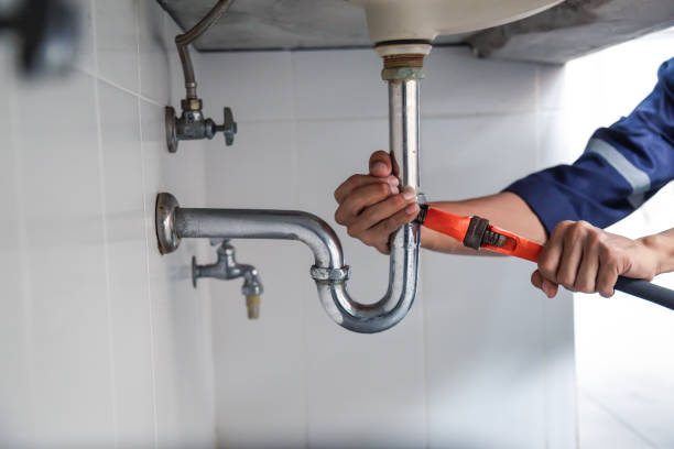 Best Plumbing Inspection Services  in Madison Heights, MI