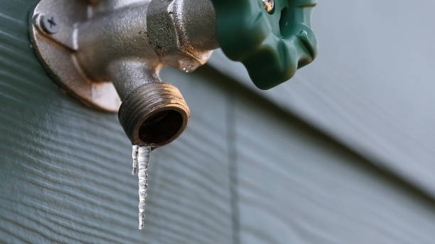 Best Affordable Plumbing Services  in Madison Heights, MI