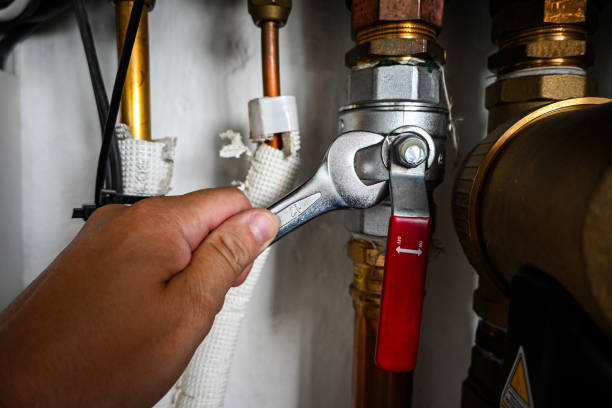 Best Leak Detection Services  in Madison Heights, MI